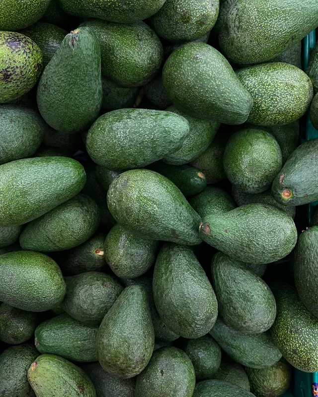 أفوكادو