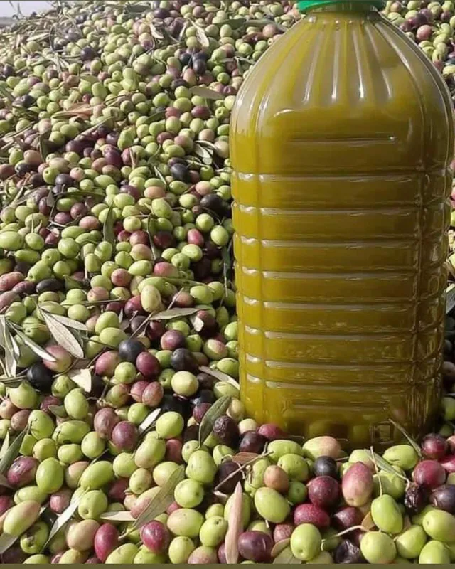 Extra Virgin Olive Oil